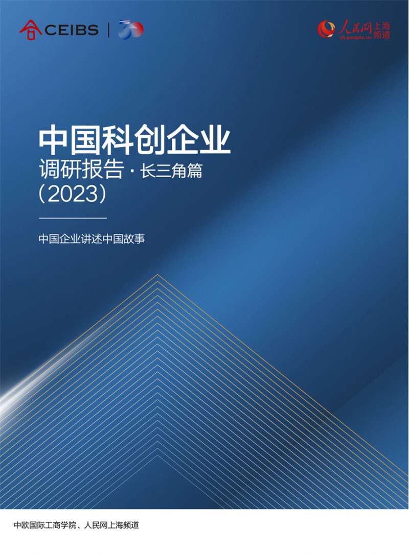 报告