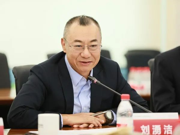 刘湧洁
