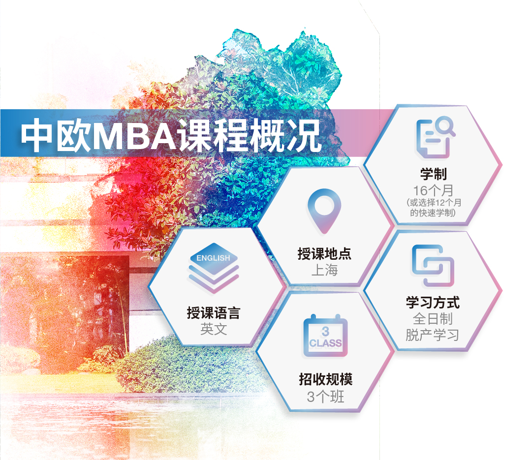 program overview